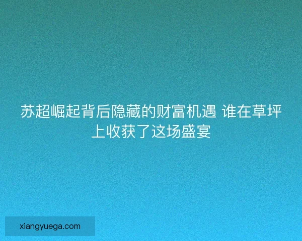 苏超崛起背后隐藏的财富机遇 谁在草坪上收获了这场盛宴