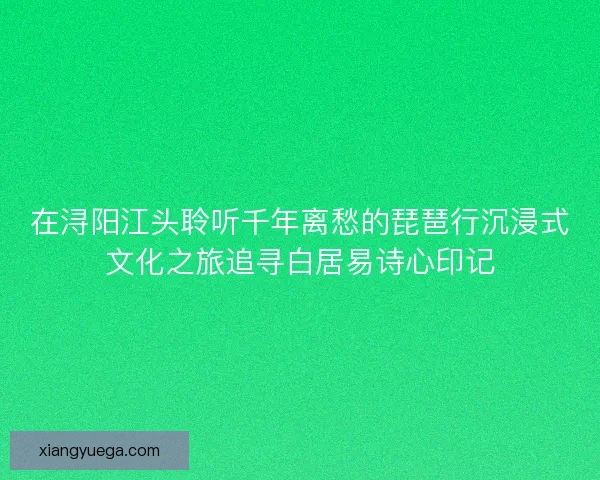 在浔阳江头聆听千年离愁的琵琶行沉浸式文化之旅追寻白居易诗心印记